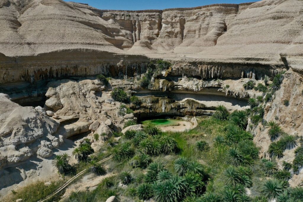 واحة نخيل وبركة ماء بين صخور كلسية في عُمان